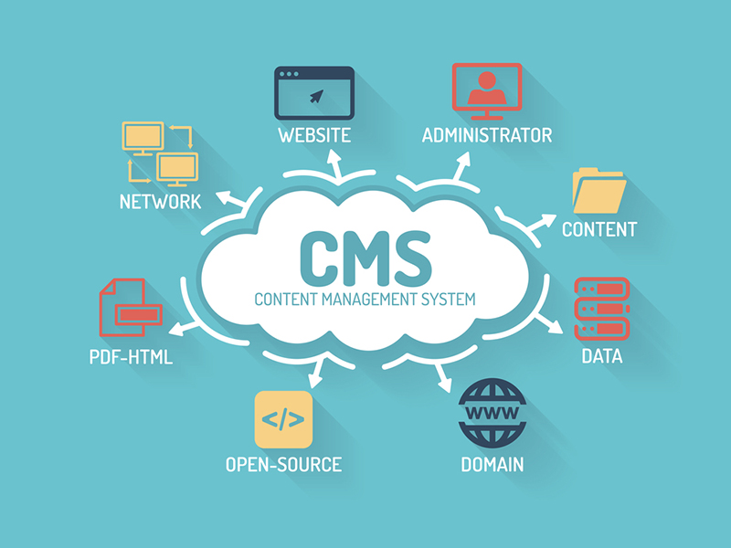 Custom CMS Development Services in Al Ain - Scalable Content Management Solutions