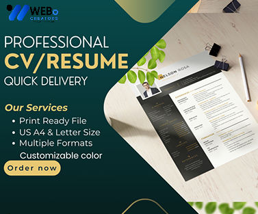 Elegant Resume Design Service, CV designs, CV writing in Al Ain For Gain Job